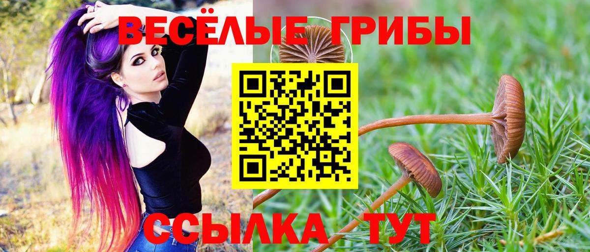 Галлюциногенные грибы мицелий  Галлюциногенные грибы Magic Shrooms  Златоуст  Вход с VPN 