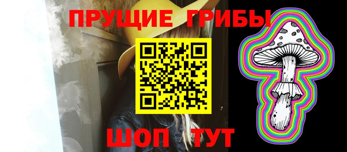 Псилоцибиновые грибы Psilocybe Златоуст